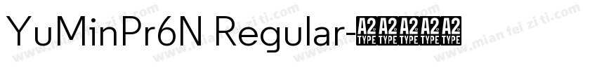 YuMinPr6N Regular字体转换